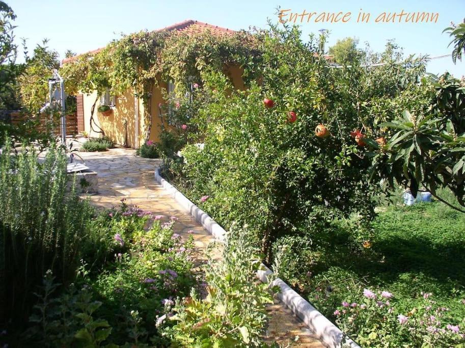 Adonino Residence-The House Of Pomegranates Lakíthra Dış mekan fotoğraf