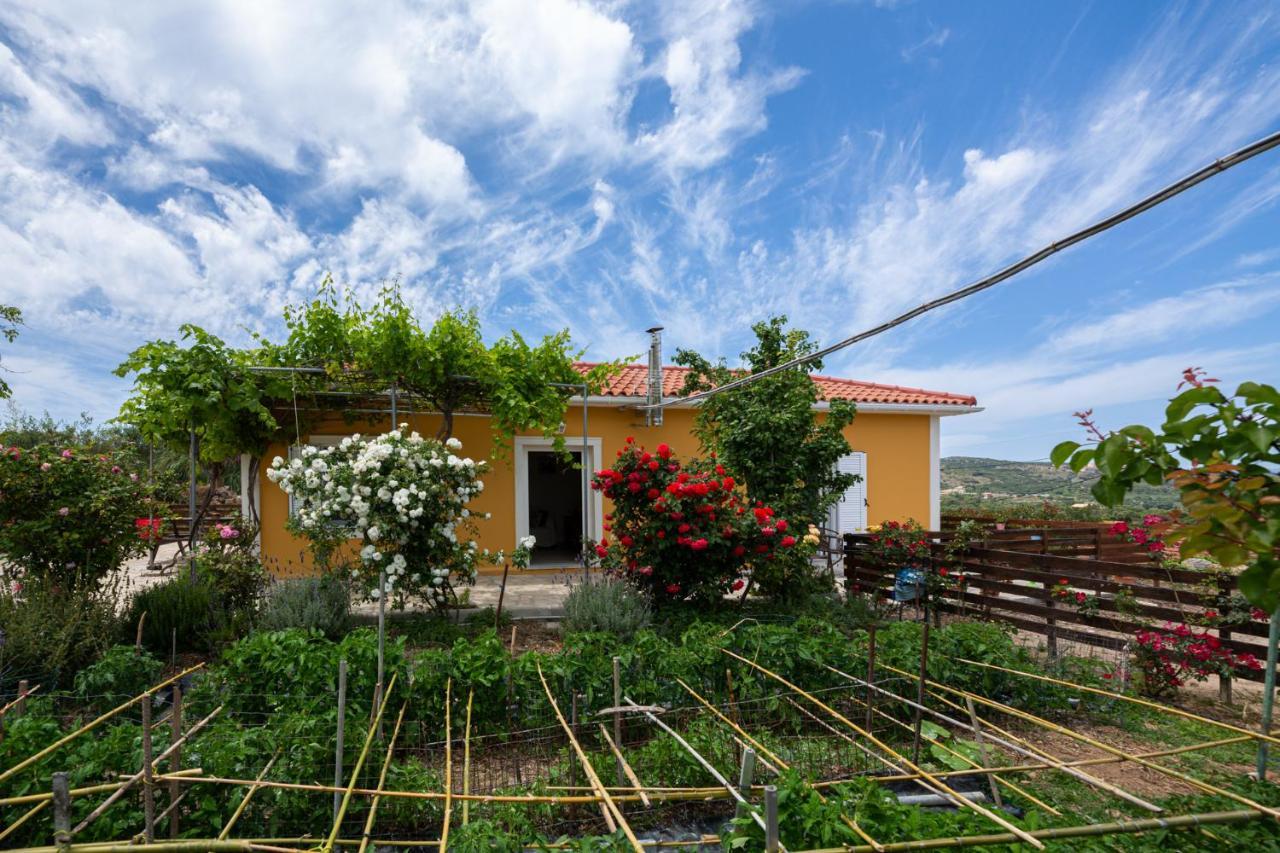 Adonino Residence-The House Of Pomegranates Lakíthra Dış mekan fotoğraf